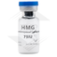 HMG 75IU Euro Photo 2