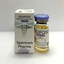 Equipose Boldenone Undecylenate US Photo 2